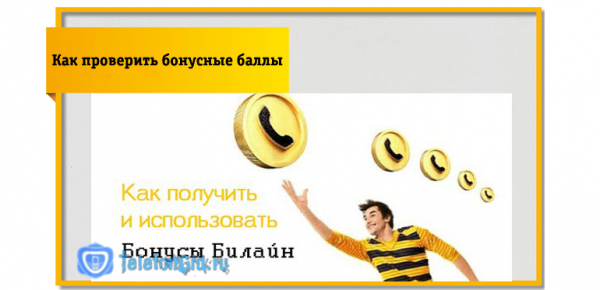 Как проверить бонусные баллы на Билайне и узнать остаток Как проверить бонусные баллы на Билайне и узнать остаток