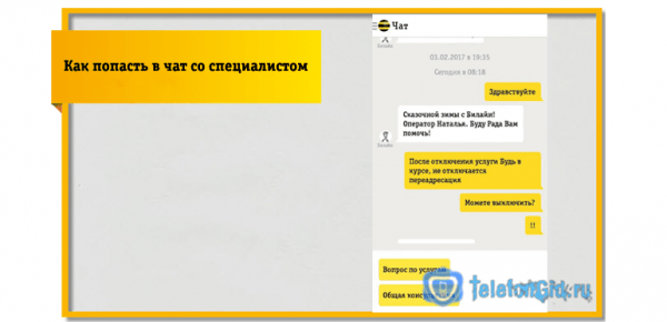 Чат Билайн — техподдержка специалиста Чат Билайн — техподдержка специалиста