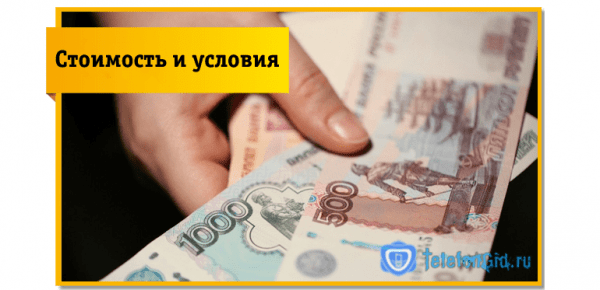 Услуга «Родительский контроль» от оператора Билайн Услуга «Родительский контроль» от оператора Билайн