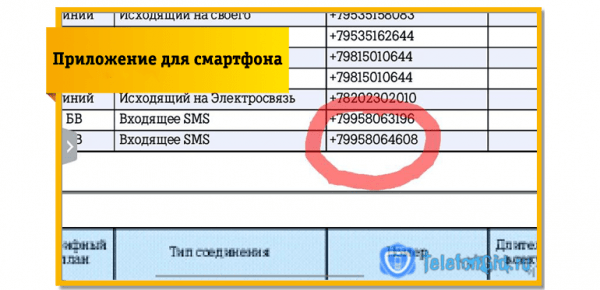 Детализация (распечатка) СМС сообщений в Билайн Детализация (распечатка) СМС сообщений в Билайн