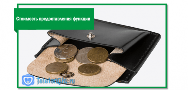Услуга «Плати когда удобно» от Мегафон-в чем подвох Услуга «Плати когда удобно» от Мегафон-в чем подвох