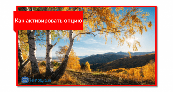 Услуга «Вся Россия Smart» МТС Услуга «Вся Россия Smart» МТС