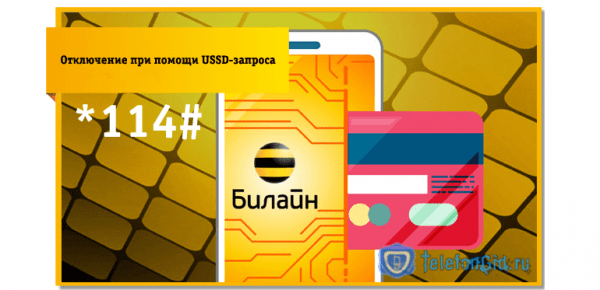 Как отключить автоплатеж Билайн &mdash; 6 различных способов