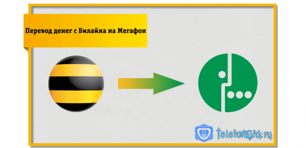 6 способов как перекинуть деньги с Билайна на Мегафон 6 способов как перекинуть деньги с Билайна на Мегафон