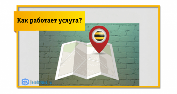 Локатор Билайн-как отключить услугу отслеживания Локатор Билайн-как отключить услугу отслеживания
