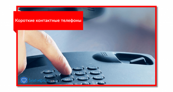 Номер оператора МТС: горячая линия,справочная службы поддержки Номер оператора МТС: горячая линия,справочная службы поддержки