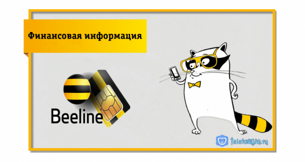 Детализация звонков Билайн чужого номера Детализация звонков Билайн чужого номера