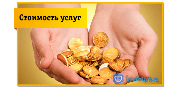 Услуга Билайн «Сюрприз для эрудита» Услуга Билайн «Сюрприз для эрудита»