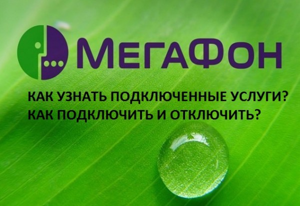 Как можно узнать какие услуги подключены на Мегафон? Как можно узнать какие услуги подключены на Мегафон?