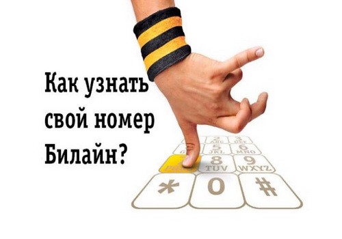 Узнаем свой номер Билайн разными способами