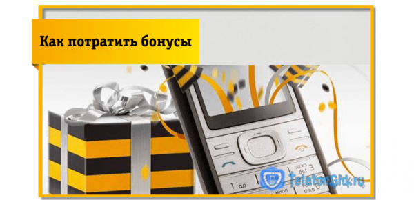Как проверить бонусные баллы на Билайне и узнать остаток Как проверить бонусные баллы на Билайне и узнать остаток