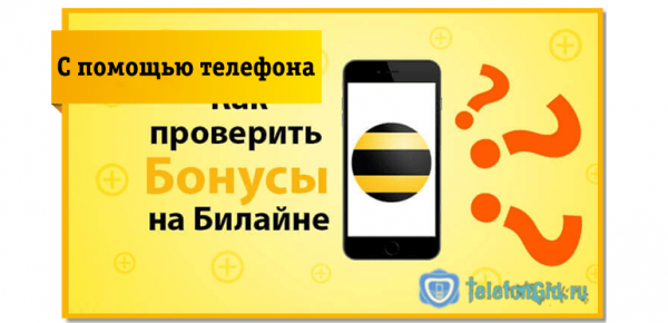 Как проверить бонусные баллы на Билайне и узнать остаток Как проверить бонусные баллы на Билайне и узнать остаток