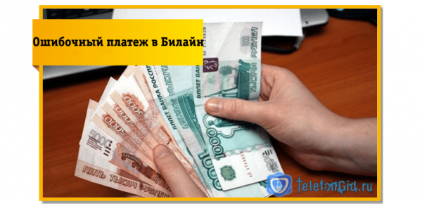 Ошибочный платеж в Билайн: как сразу же вернуть деньги